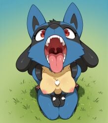 1girls ai_generated anthro breasts breedorbred canid canine canine_teeth cel_shading comfyui fangs female furry grass hands_in_lap hi_res lucario maw mawshot mouth_open nude outdoors pawpads pokemon pokemon_(species) pov presenting_mouth red_eyes seiza simple_background spikes_(anatomy) teeth tongue two-tone_body uvula