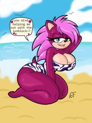 sonia the hedgehog from sega by bomba world12