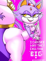 against_surface against_wall anthro ass big_butt big_the_cat blaze_the_cat blazedscarf duo female grinding hi_res imminent_sex male male/female sega sonic_(series) sonic_the_hedgehog_(series) text thick_thighs wide_hips