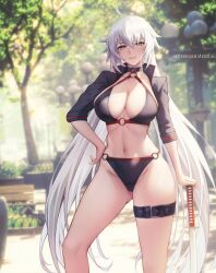 jeanne alter from fate (series) by azto dio