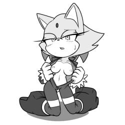 1girls anthro blaze_the_cat blush fixink heart_eyes looking_at_viewer monochrome open_mouth presenting_breasts solo sonic_(series) sonic_riders sonic_the_hedgehog_(series) unzipped_bodysuit