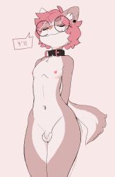 absurd_res anthro closed_eyes collar eyewear felid feline femboy fizzystevie genitals girly glasses hair happy hi_res male mammal mia_(fizzystevie) nude original original_character penis pink_hair short small_penis smile solo solo_focus tail