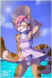 anthro avery_(roanoak) balls beach big_ears blush clothed clothing dress erection felid feline femboy fur gamma052 genitals girly hair hi_res inner_ear_fluff long_tail lynx male male_only mammal penis pink_eyes pink_hair seaside smile solo solo_male spots sundress tan_body tan_fur tongue tongue_out tuft white_body white_fur