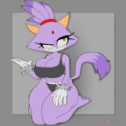 blaze the cat from sonic (series) by iamzavok