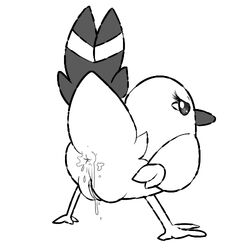 anus beak dripping feathers female fletchling monochrome nintendo penis plain_background pokemon pussy quagsire_(artist) raised_tail solo video_games white_background yayakoma