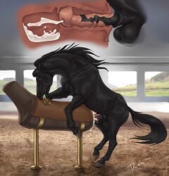 2024 animal_genitalia animal_penis balls black_balls black_body black_mane black_penis black_tail bodily_fluids breeding_mount brown_eyes cum cum_splatter dated ejaculation equid equine equine_genitalia equine_penis erection feral feral_only flared_penis genital_fluids genitals hi_res horse internal male male_feral mammal mane medial_ring open_mouth penis pink_penis rufciu side_view signature solo tail vein veiny_penis