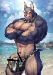 abs absurd_res anthro balls beach big_balls big_bulge big_muscles big_pecs black_body black_fur blush bulge canid canine canis censored clothed clothing collar crossed_arms detailed_bulge dobermann domestic_dog erection erection_under_clothing fetish_wear fur genital_outline genitals hi_res huge_muscles ineffective_censorship kemono looking_at_viewer male mammal muscular muscular_anthro muscular_arms muscular_male novelty_clothing partially_clothed pecs penis penis_base penis_outline pinscher pointy_ears seaside solo spiked_collar spikes thick_arms thick_thighs topless wardrobe_malfunction yukihoshiak zipper zipper_down