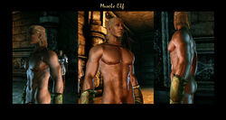 dragon_age dragon_age_origins tagme zevran_arainai