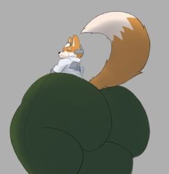 big_ass bubble_butt dragonfeatherss fox fox_mccloud furry huge_ass star_fox tagme