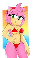 Sonic (Series) Rule 34 Image
