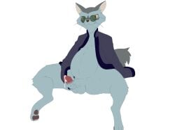 anthro balls belly blue_body blue_fur bodily_fluids clothed clothing domestic_cat doritomon eyewear felid feline felis fluffy fluffy_tail fur genital_fluids genitals glasses grey_body grey_fur hi_res humanoid_genitalia humanoid_penis looking_at_viewer male mammal masturbation natori neko_no_ongaeshi open_clothing open_robe penis precum robe sitting solo studio_ghibli the_cat_returns