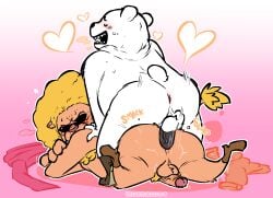 2022 anal anal_sex anthro anus ass bepo blush closed_eyes duo eyewear felid gay heart hi_res lion male male/male male_only mammal minkmen_(one_piece) naughtybassard one_piece pantherine pekoms penetration polar_bear sex slightly_chubby sunglasses torquewintress ursid ursine yaoi