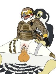 absurd_res american_kestrel anthro aroused avian bird blush bodily_fluids bottomless bottomless_female bulletproof_vest clitoris clothed clothing cum cum_in_pussy cum_inside cute_expression duo evy_(fish_birb) falcon falconid female female_penetrated fish_birb furry furry_only genital_fluids genitals headgear headphones headset hi_res kestrel knee_pads male male/female male_penetrating male_penetrating_female military military_uniform on_bottom on_top orgasm orgasm_face penetration penis plump_labia pussy pussy_juice reverse_cowgirl_position sex shirt solo topwear uniform vaginal_penetration