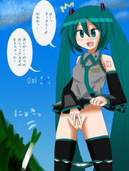 aftermath blush grass hatsune_miku leek open_mouth outdoors outside peeing pubic_hair pussy speech_bubble toro_r18 vocaloid