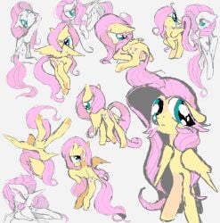 anus avvy female feral fluttershy_(mlp) friendship_is_magic furry my_little_pony pussy sketch solo tagme