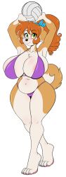 1girls animal_ears anthro anthro_only areola_slip areolae_slip armpits ass belly_overhang big_ass big_breasts big_butt bikini black_nose blue_ribbon breasts breasts_bigger_than_head brown_body brown_fur brown_tail butt cleavage dog dog_ears eyebrows_visible_through_hair female female_only front_view full_body furry furry_only hair_up hips holding_ball holding_object kibbles kibbles_(uberquest) light_brown_body light_brown_fur light_brown_tail no_humans no_visible_genitalia no_visible_nipples open_eyes orange_hair panties purple_bikini purple_panties ribbon ribbon_in_hair skidd slight_blush small_waist smile snout solo solo_focus tail thick_thighs tippy_toes two_tone_body two_tone_fur uberquest volleyball webcomic webcomic_character white_body white_breasts white_fur wide_hips