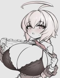 es (xblaze) from arc system works by pldf