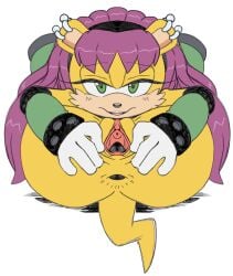 mina mongoose from sonic (series) by leatherruffian