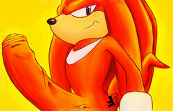 knuckles the echidna from sonic (series) by fakerface