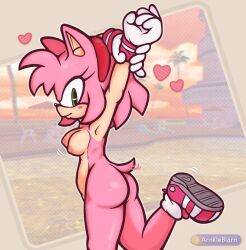 amy rose from sega by arnkleblarn