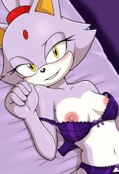 blaze the cat from sega by sonicguru