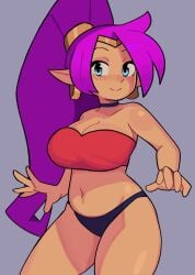 1girls big_breasts blue_eyes breasts cleavage dark-skinned_female earrings female female_only panties pointy_ears ponytail purple_hair shantae shantae_(character) thick_thighs underwear wayforward xenoglitch