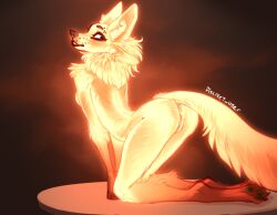 2022 anthro anus ass bedroom_eyes biped black_nose blue_eyes blush breasts canid canine canis discreet_user english_text eyebrow_piercing eyebrows eyelashes facial_piercing female fox fur genitals glowing glowing_body glowing_fur inner_ear_fluff kneeling looking_back magic mammal markings mylar_(discreet_user) narrowed_eyes neck_tuft piercing presenting presenting_anus presenting_hindquarters presenting_pussy pussy raised_tail rear_view seductive side_boob simple_background solo text tuft whisker_markings