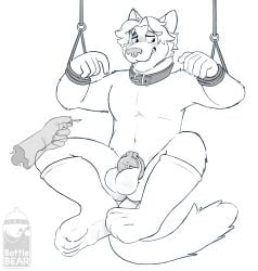 2022 5_fingers absurd_res anthro balls bite biting_lip bondage bondage bottlebear bound chastity_cage chastity_device clothing collar digital_drawing_(artwork) digital_media_(artwork) duo embarrassed english_text fingers footwear fur genitals gulonine hair hi_res humiliation key male mammal marten mostly_nude mustelid musteline pine_marten simple_background socks solo_focus text white_background