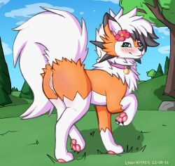 absurd_res accessory anus ass blush collar dusk_lycanroc female feral flower flower_in_hair genitals hair hair_accessory hi_res laserkitten lycanroc nintendo pawpads paws plant pokemon presenting presenting_hindquarters pussy solo solo_focus video_games