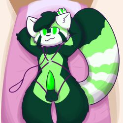 ailurid anthro balls bed cupoflavender digital_media_(artwork) fur furniture genitals green_body green_eyes green_fur green_penis hair harness hi_res leash looking_at_viewer lying male male_only mammal on_back on_bed penis red_panda smile solo solo_male submissive tapering_penis toxic_(mountandrew)