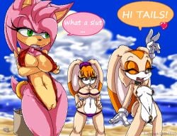 2009 amy_rose anthro beach bikini breasts clothing cream_the_rabbit daniel_hermann english_text eulipotyphlan female genitals group hedgehog lagomorph large_breasts leporid mammal medium_breasts outside pussy rabbit seaside sega sonic_(series) sonic_the_hedgehog_(series) sonicdash swimsuit swimwear text trio vanilla_the_rabbit young