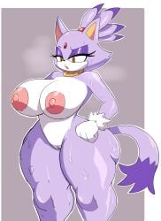 absurd_res anthro big_breasts blaze_the_cat bodily_fluids breasts cyberlord1109 domestic_cat felid feline felis female forehead_gem genitals hi_res mammal nipples nude pussy sega solo sonic_(series) sonic_the_hedgehog_(series) sweat thunder_thighs