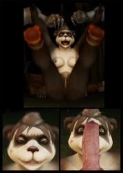 3d_(artwork) anthro blizzard_entertainment breasts canid canine canis digital_media_(artwork) female genitals giant_panda group hi_res ilikepandaren knot male male/female mammal pandaren penis pussy trio ursid video_games warcraft were werecanid wolf worgen world_of_warcraft