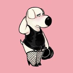 20th_century_fox 20th_century_studios anonpupb anthro balls_outline blush brian_griffin bulge canid canine canis clothed clothing detailed_bulge domestic_dog family_guy fishnet_clothing fishnet_legwear flustered footwear fuzzy_door_productions genital_outline high_heels legwear looking_at_viewer male mammal penis_outline shoes slightly_chubby solo