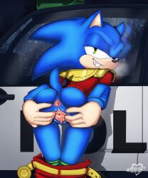 anthro anus arrow_hearted ass cuntboy furry intersex pussy sonic_the_hedgehog sonic_the_hedgehog_(archie) sonic_the_hedgehog_(comics) spread_pussy vagina zonic_the_zone-cop