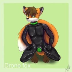 anthro bulge canid canine clothing drakethefox fox hi_res male mammal null_bulge rubber rubber_clothing rubber_suit solo