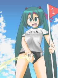 grass gym_clothes gym_shorts gym_uniform hatsune_miku headband panties_aside pants_pull peeing peeing peeing_outside toro_r18 urine urine vocaloid