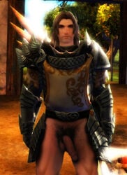 1boy armor guild_wars guild_wars_2 logan_thackeray long_hair male male_only solo tagme