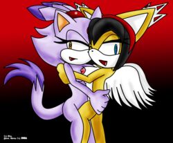 blaze_the_cat honey_the_cat riku_(artist) sonic_(series) sonic_the_fighters