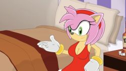 alcohol amy_rose cartoon_hook-ups furry motel sega sonic_(series) sonic_the_hedgehog_(series) tagme winky_dink_media