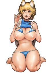 absurdres animal_ear_fluff animal_ears bangs bare_arms bare_legs barefoot bikini bikini_lift bikini_under_clothes blonde_hair breasts brown_eyes chanta_(ayatakaoisii) clothes_lift female fox_ears full_body hands_up highres large_breasts lifted_by_self looking_at_viewer navel nipples no_tail open_mouth ran_yakumo seiza shirt short_hair simple_background sitting slit_pupils solo stomach sweat swimsuit tabard touhou white_background yellow_eyes