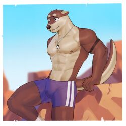 1boy abs anthro bottomwear brown_body bulge collar detailed detailed_background fur furry jrjresq male male_focus male_only mammal muscular muscular_male nipples original original_character otter pecs shorts smiling solo tail tight_clothing topless underwear