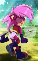 beach brother_and_sister brother_spying_on_sister euf-dreamer naked panties_removed pervert_brother sega sonia_the_hedgehog sonic_(series) sonic_the_hedgehog sonic_the_hedgehog_(series) sonic_underground