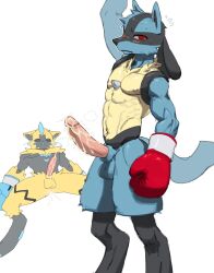 0onooo66 after_sex anthro balls blush bodily_fluids boxing_gloves boxing_gloves_only clothing cum duo genital_fluids genitals gloves handwear hi_res legendary_pokémon light_blue_boxing_gloves light_blue_gloves lucario male male/male male_only muscular nintendo penis pokémon_(species) pokemon red_boxing_gloves red_gloves video_games white_background zeraora