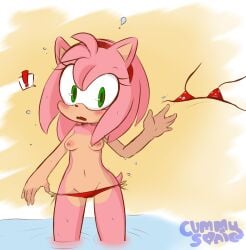 amy_rose bikini cummysonic embarrassed hearlesssoul in_water pink_fur pink_hair pussy_peek small_breasts sonic_(series) topless water