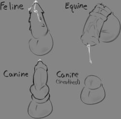 animal_genitalia anthro balls bodily_fluids canid canine canis cum digital_media_(artwork) equid equine erection felid feline felis genital_fluids genitals hi_res horse knot male mammal mxnster_fxcker penis sheath solo