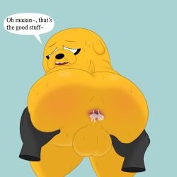 jake the dog from adventure time by colossalstars