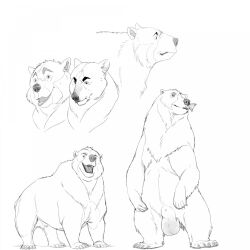 animal_genitalia balls big_balls brown_bear claws eating eating_food feral fish fully_sheathed genitals grizzly_bear hair hi_res kuruk_(character) male mammal mane mane_hair marine open_mouth paws sheath shebeast slightly_chubby solo standing stern_look ursid ursine