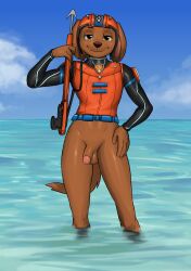 absurd_res anthro armor athletic balls bird_dog black_clothing blue_sky bottomless bottomless_male brown_balls brown_body brown_fur brown_nose brown_penis brown_tail canid canine canis casual_bottomless casual_nudity clothed clothing cloud diacordst domestic_dog eyebrows flaccid fluffy fluffy_tail fur furry furry_only genitals glans hand_on_hip harpoon harpoon_gun headgear helmet hi_res hunting_dog labrador long_sleeves male male_only mammal melee_weapon orange_clothing orange_shirt orange_topwear orange_vest partially_submerged paw_patrol penis pink_glans polearm pose raised_eyebrow retriever scuba_diver scuba_gear sea shirt sky slim smile smirk smug solo spear standing_in_water swimwear tail tight_clothing topwear vest water weapon wetsuit yellow_eyes zuma_(paw_patrol)