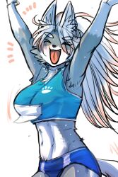 anthro big_breasts breasts canine crop_top excited female female_only furry grey_fur light_blush long_hair midriff ookamiwaho pointy_ears shorts solo sweat wolf